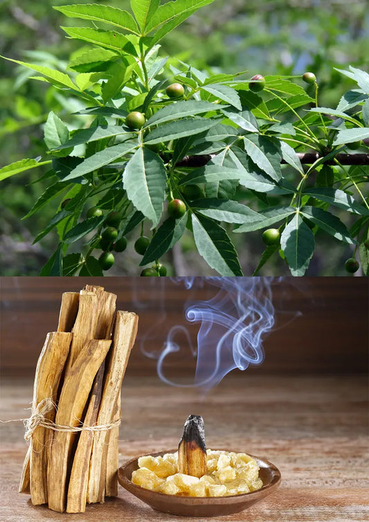 Kit con palo santo e smudge